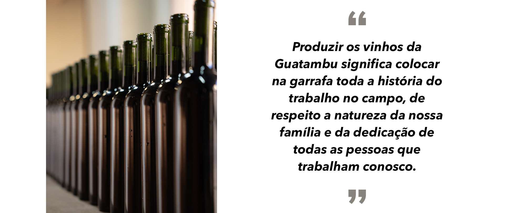 Coleção Ponte Aérea