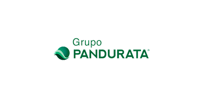 Pandurata