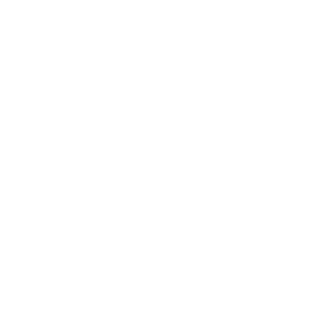 Flag icon