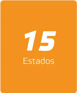 15 estados
