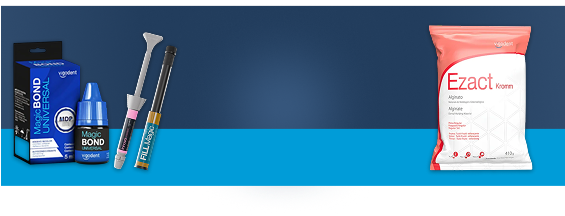 VIGODENT
