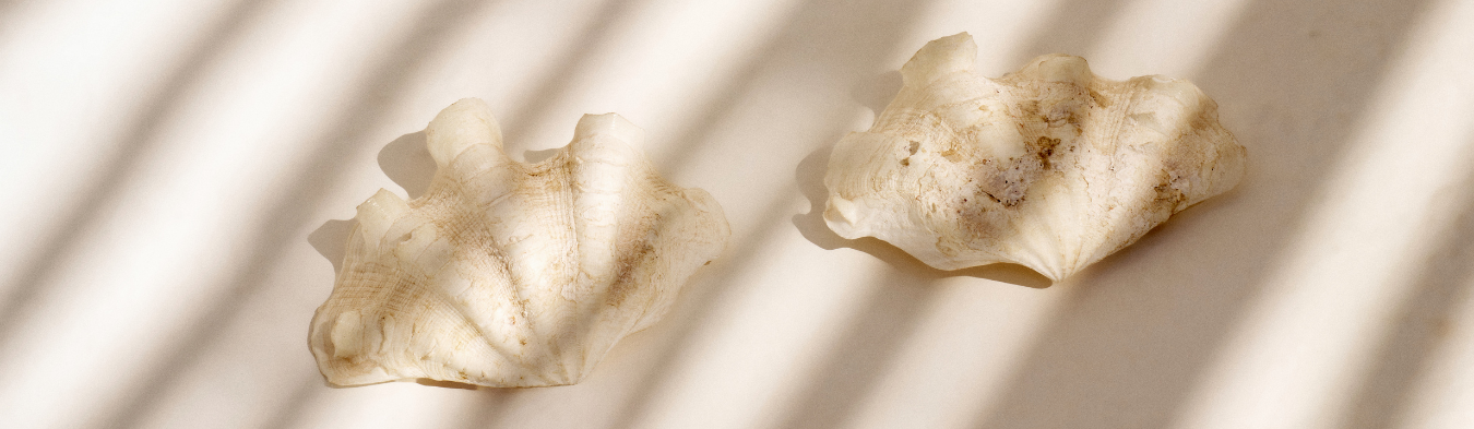 Banner rodapé - Summer 25