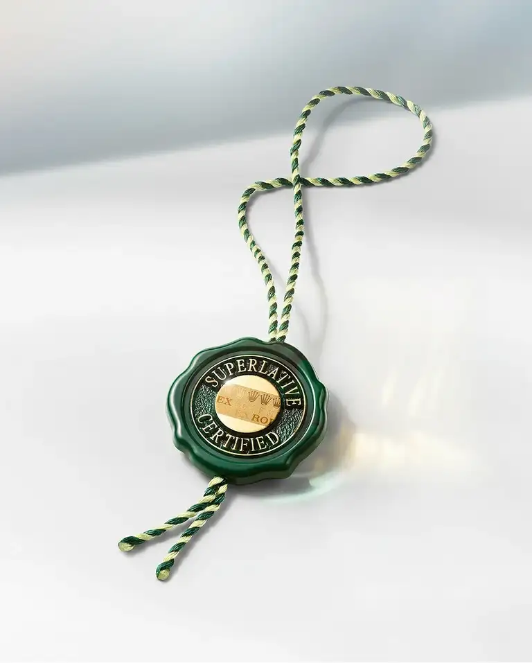 Rolex Oyster Perpetual 2025 - Dryzun 