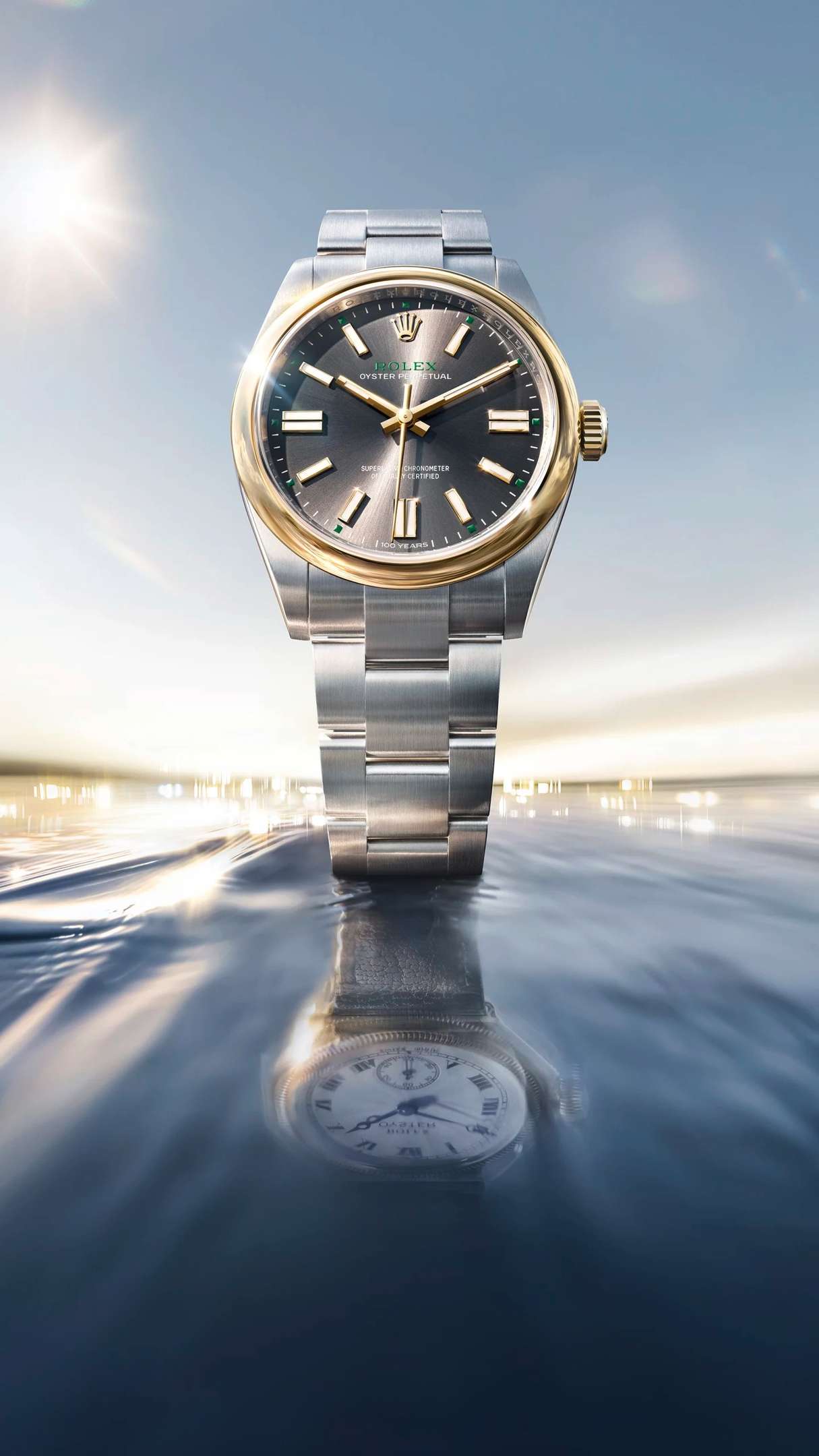 Distribuidor oficial Rolex em São Paulo - Dryzun