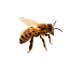 floating image around the go to the next section button