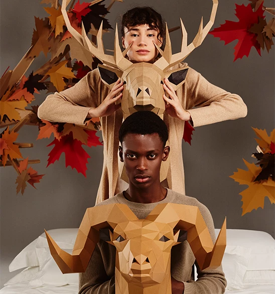 Alt imagem à direita