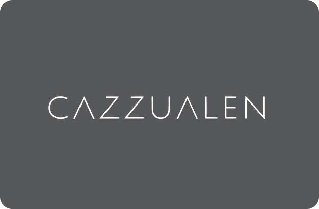 Logo Vizzent