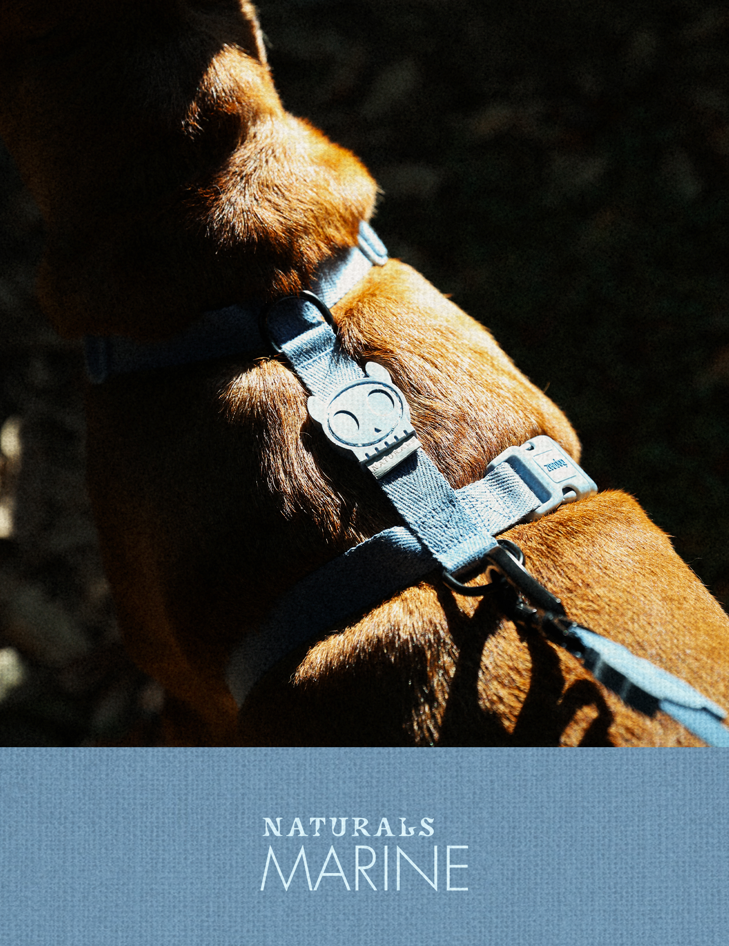 Zee.Dog - Marine Naturals