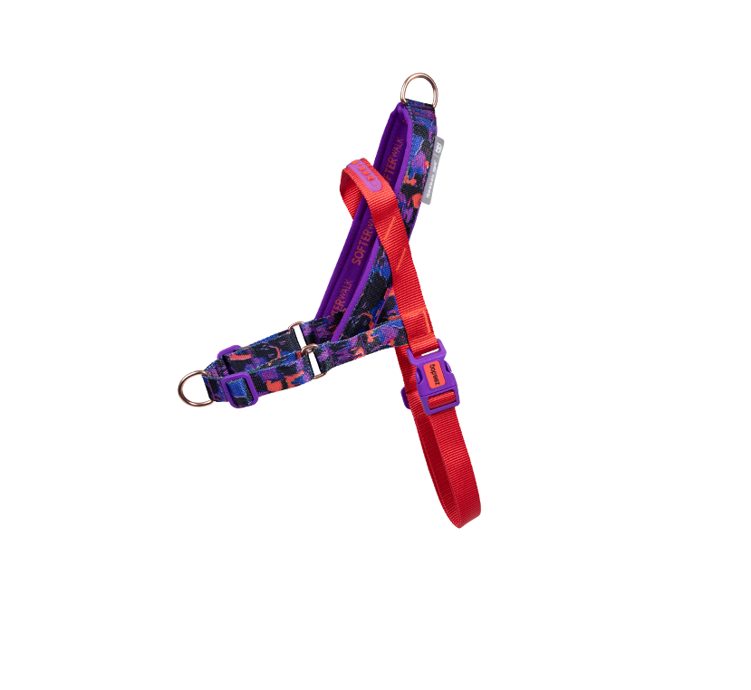 Court SofterWalk - Reebok | Zee.Dog