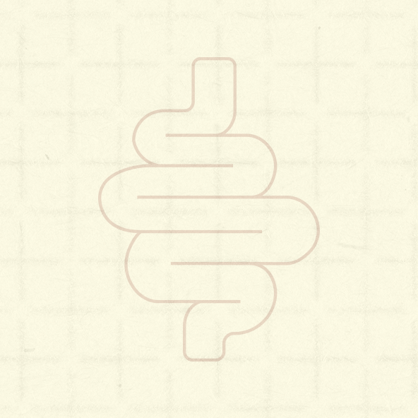 Zee.Dog Kitchen - Alterações intestinais