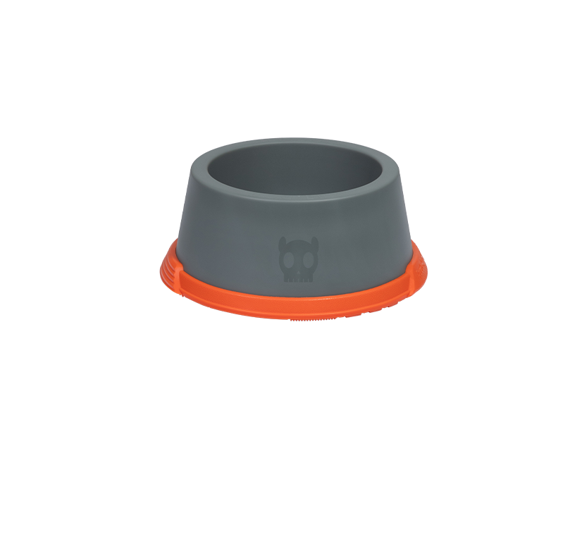 Suede Comedouro - Reebok | Zee.Dog