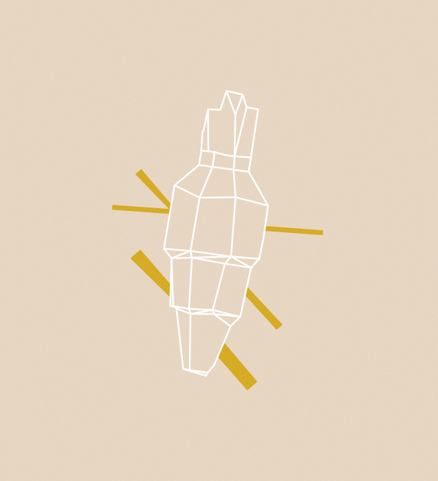 Super Veggiez - Cenoura | Zee.Dog