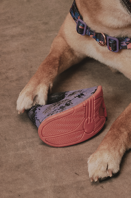 Brinquedos - Reebok | Zee.Dog
