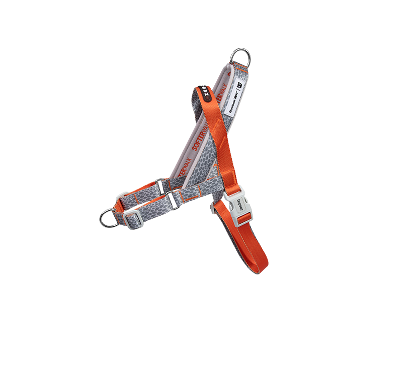 Suede SofterWalk - Reebok | Zee.Dog