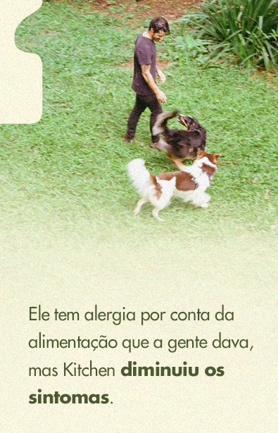 Sobre seu<br /> cachorro com<br />  alergia.