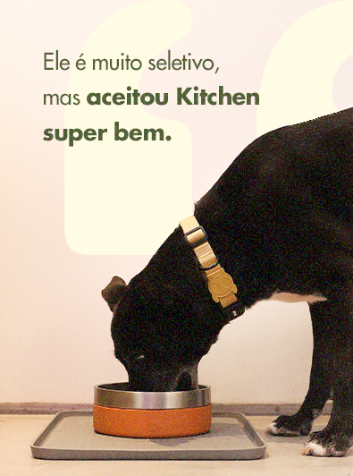Sobre seu cachorro<br /> idoso.