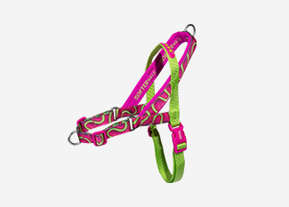 Peitoral para Cachorros H H3D Bounce | Zee.Dog