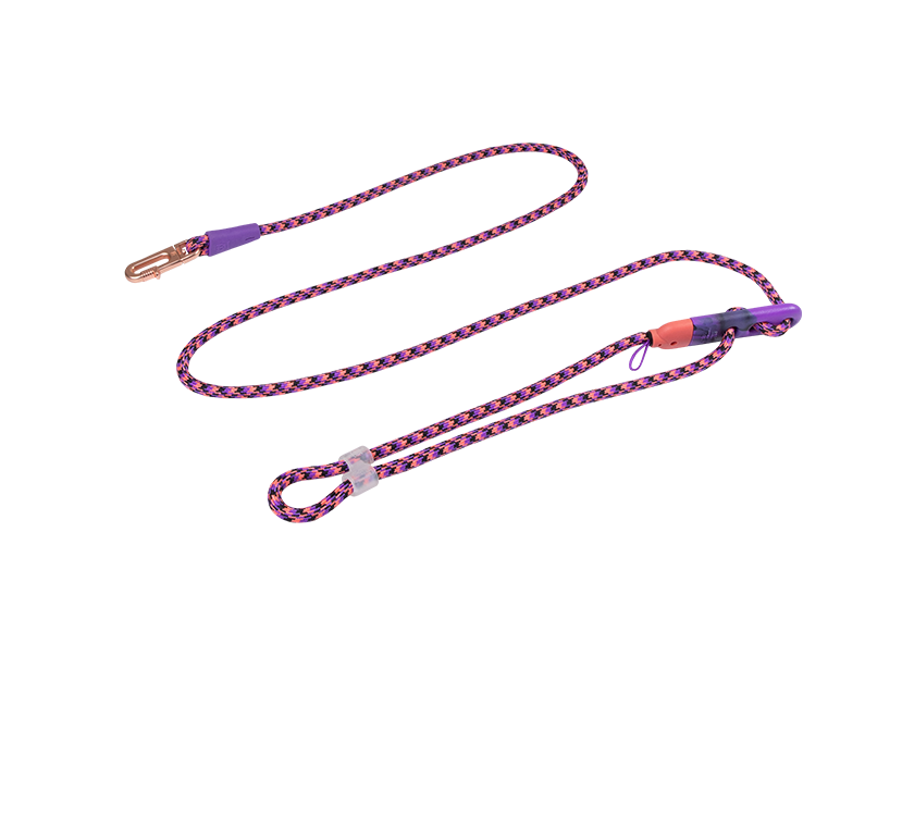 Court Guia Mãos Livres - Reebok | Zee.Dog