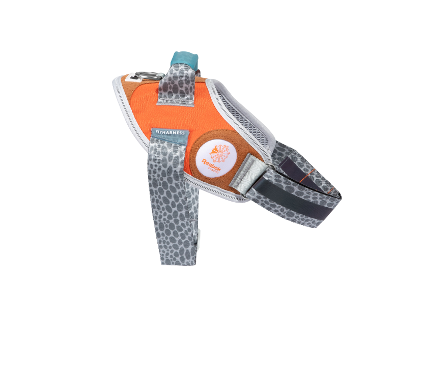 Suede FlyHarness - Reebok | Zee.Dog