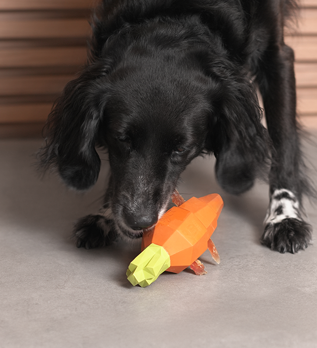 Super Veggiez - Cenoura | Zee.Dog