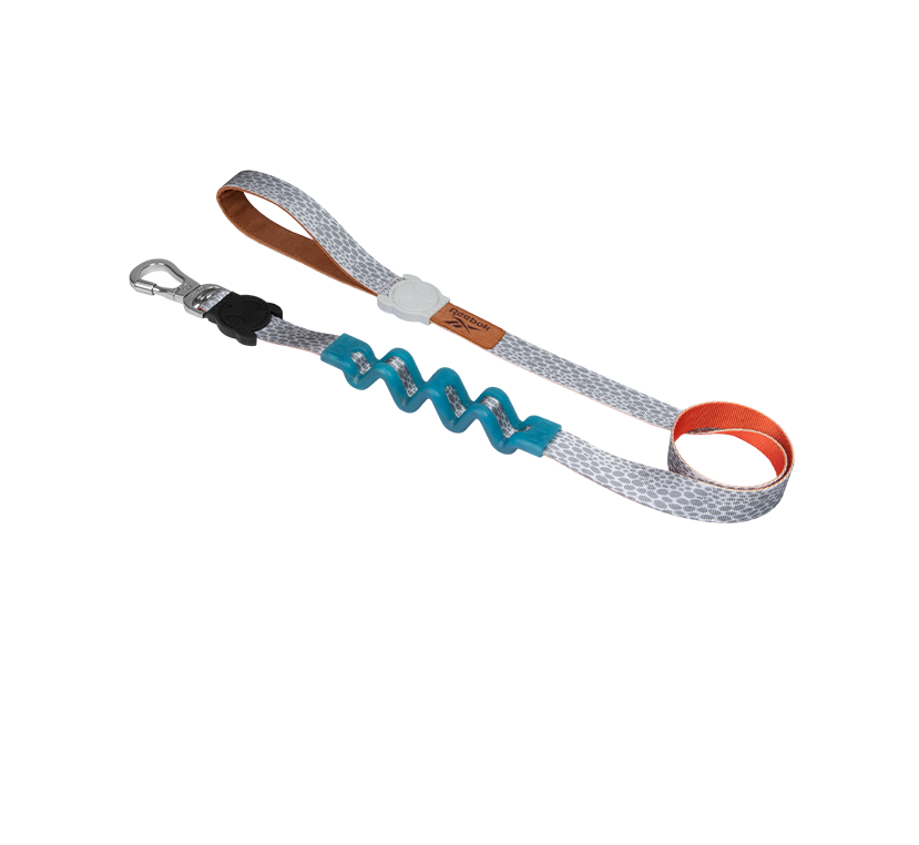 Suede Guia com Amortecedor - Reebok | Zee.Dog