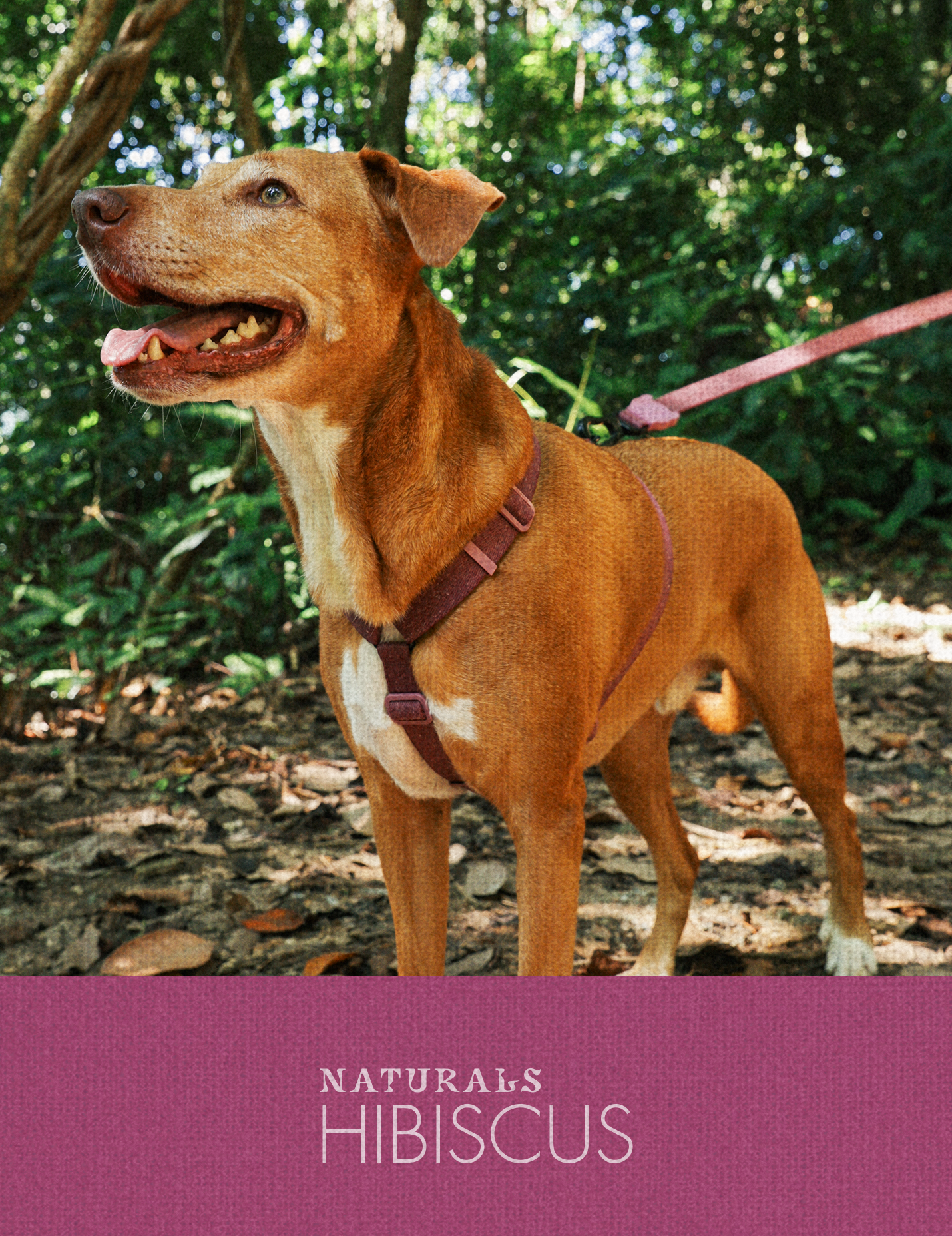 Zee.Dog - Naturals Hibiscus