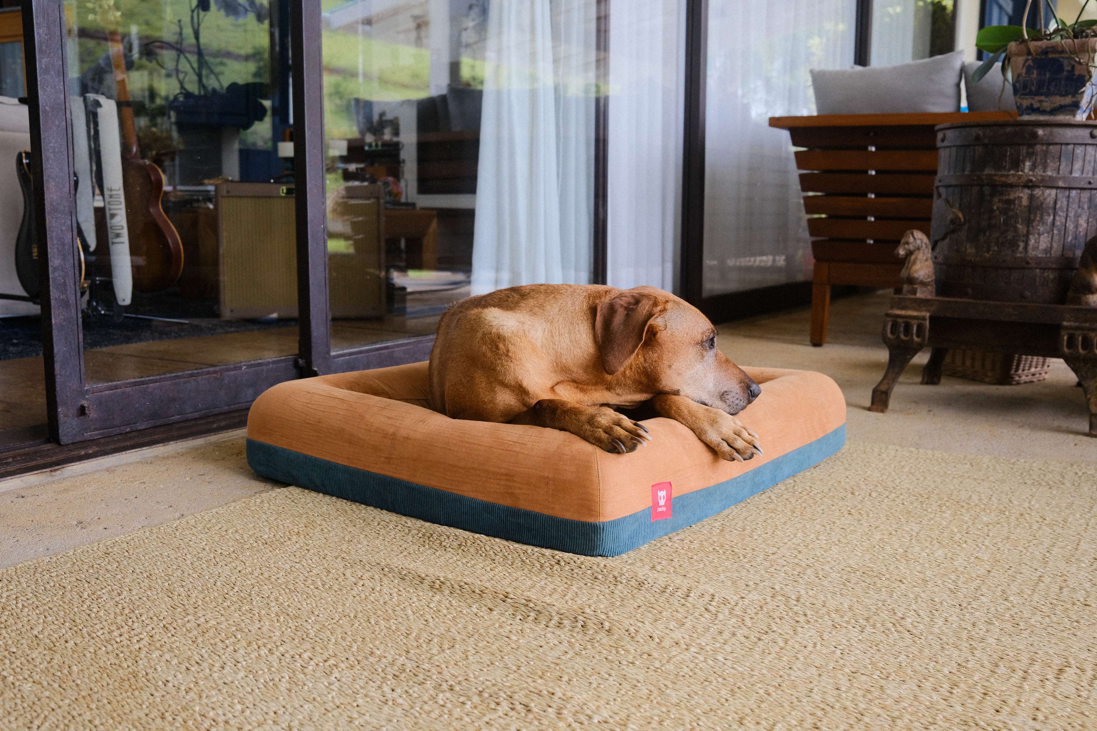 Imagem de cachorro deitado