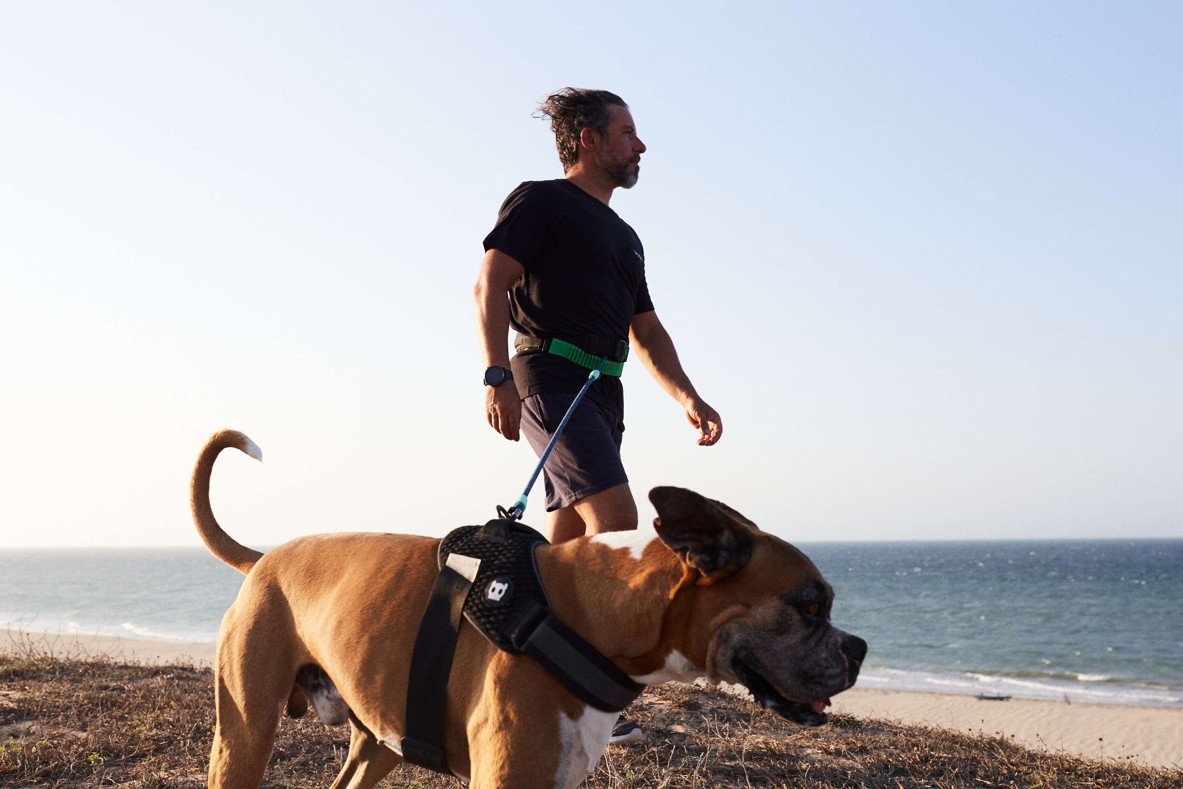 Imagem de cachorro andando na praia com responsável